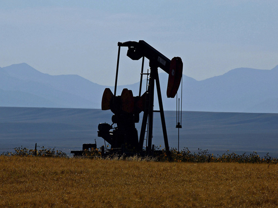 США победили ОПЕК: цены на нефть упадут до $45